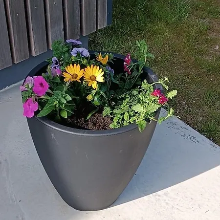 Le Vert'val * Quesques