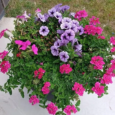 Holiday home Le Vert'val